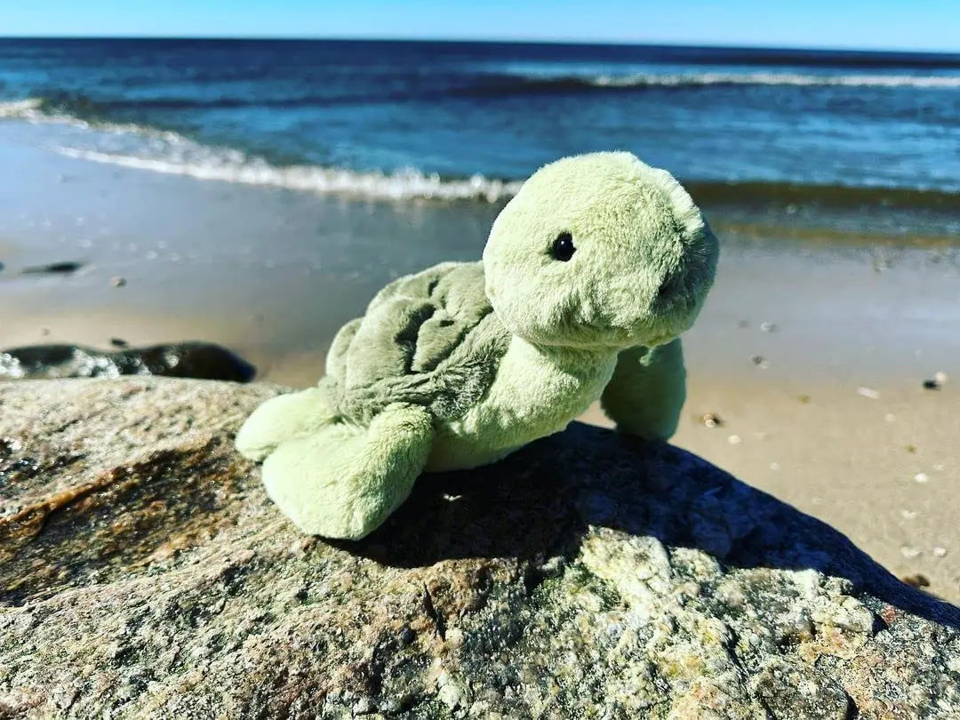 Plushmallow Weighted Turtle Plushy