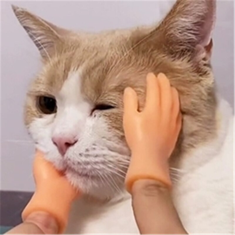 Funny Finger Fidget